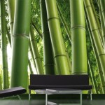 Fototapete Bambus - Bambus Asien Natur Landschaft Paradis Garten Pflanze - Wandbild Bildtapete Motivtapete - Größe 400 x 280 cm