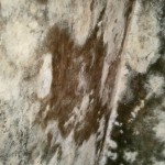 Foto1780E001