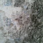 Foto1781E001